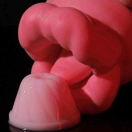 rose clitoris sucking toy
